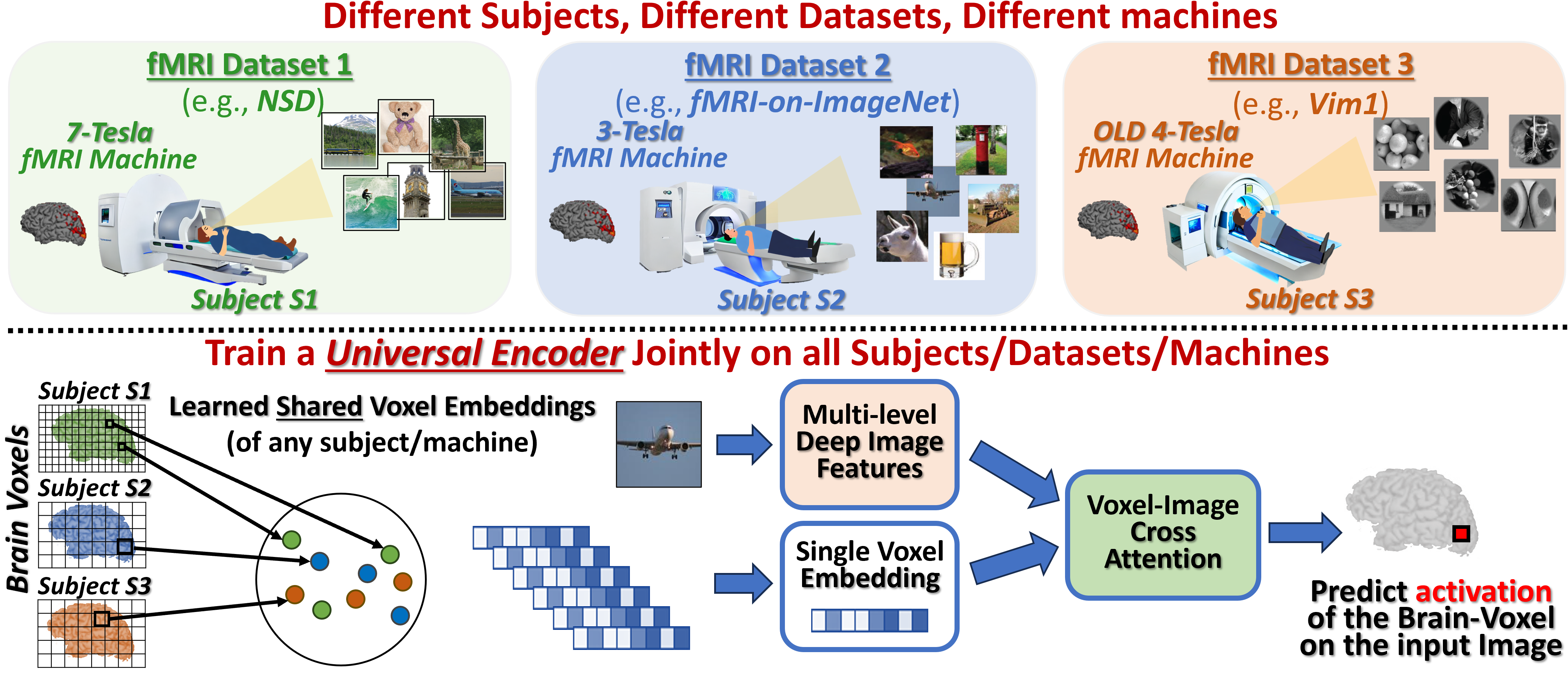 Overview of the Universal Image-to-fMRI Brain-Encoder
