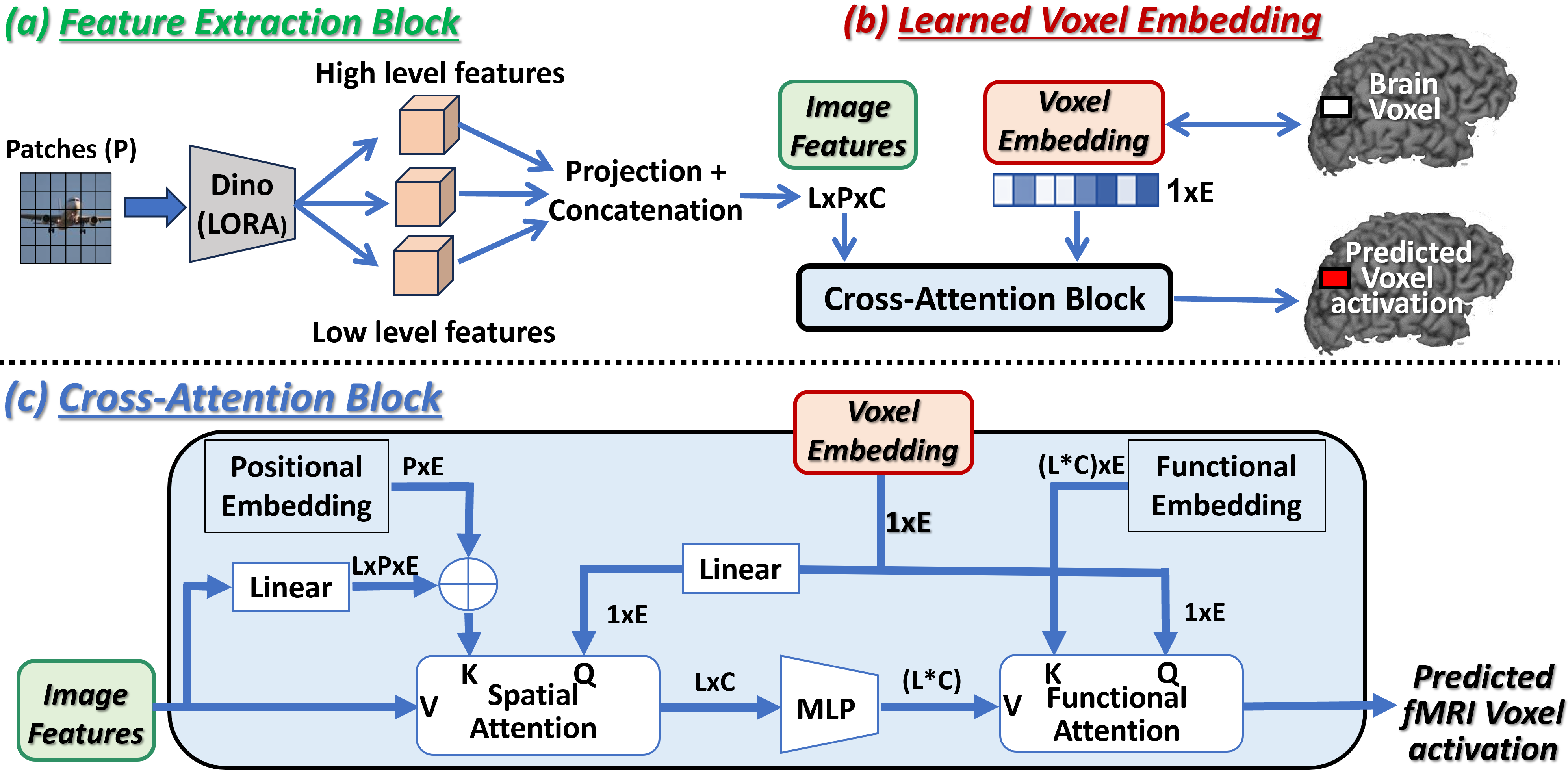 Universal Encoder architecture