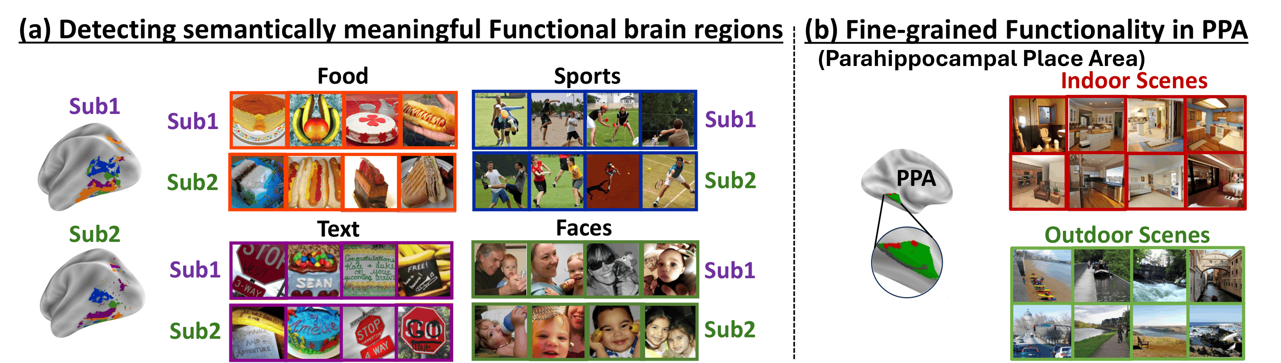 Brain exploration through voxel embedding clusters